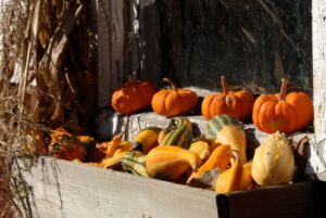 Fall Windows