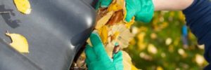 Cleaning Gutters