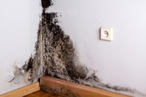 basement_waterproofing_002