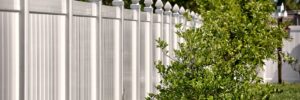 privacy fence