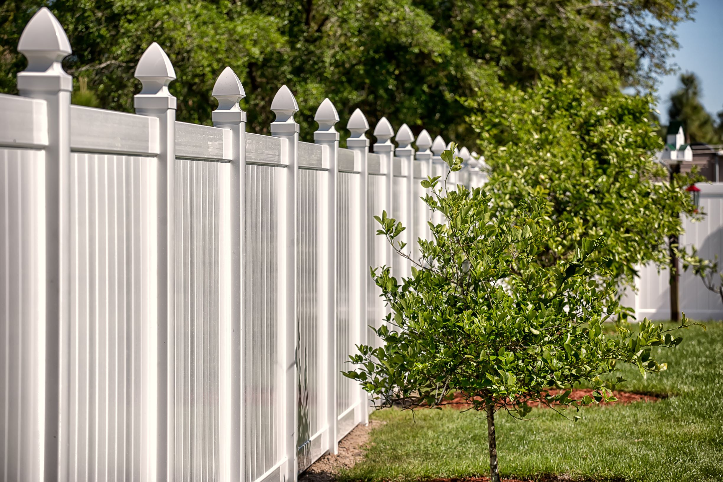 privacy fence