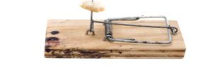getting rid of mice, exterminating mice