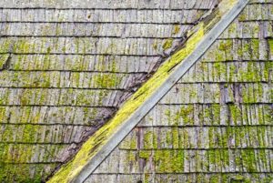 new roof, algae on roof, moss on roof, install new roof