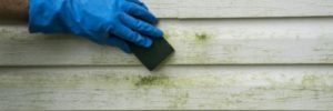 vinyl siding. how to clean vinyl siding. best cleaning practices