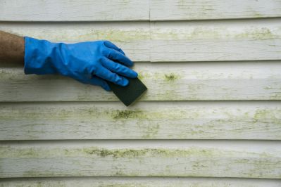 vinyl siding. how to clean vinyl siding. best cleaning practices