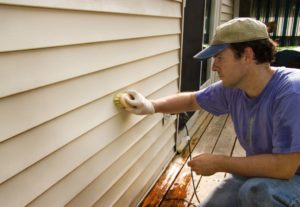 vinyl siding. clean vinyl siding. remove mildew and mold
