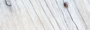 cracked deck boards, cracking in decks, old deck wood