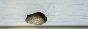 siding replaced, old siding, siding problems