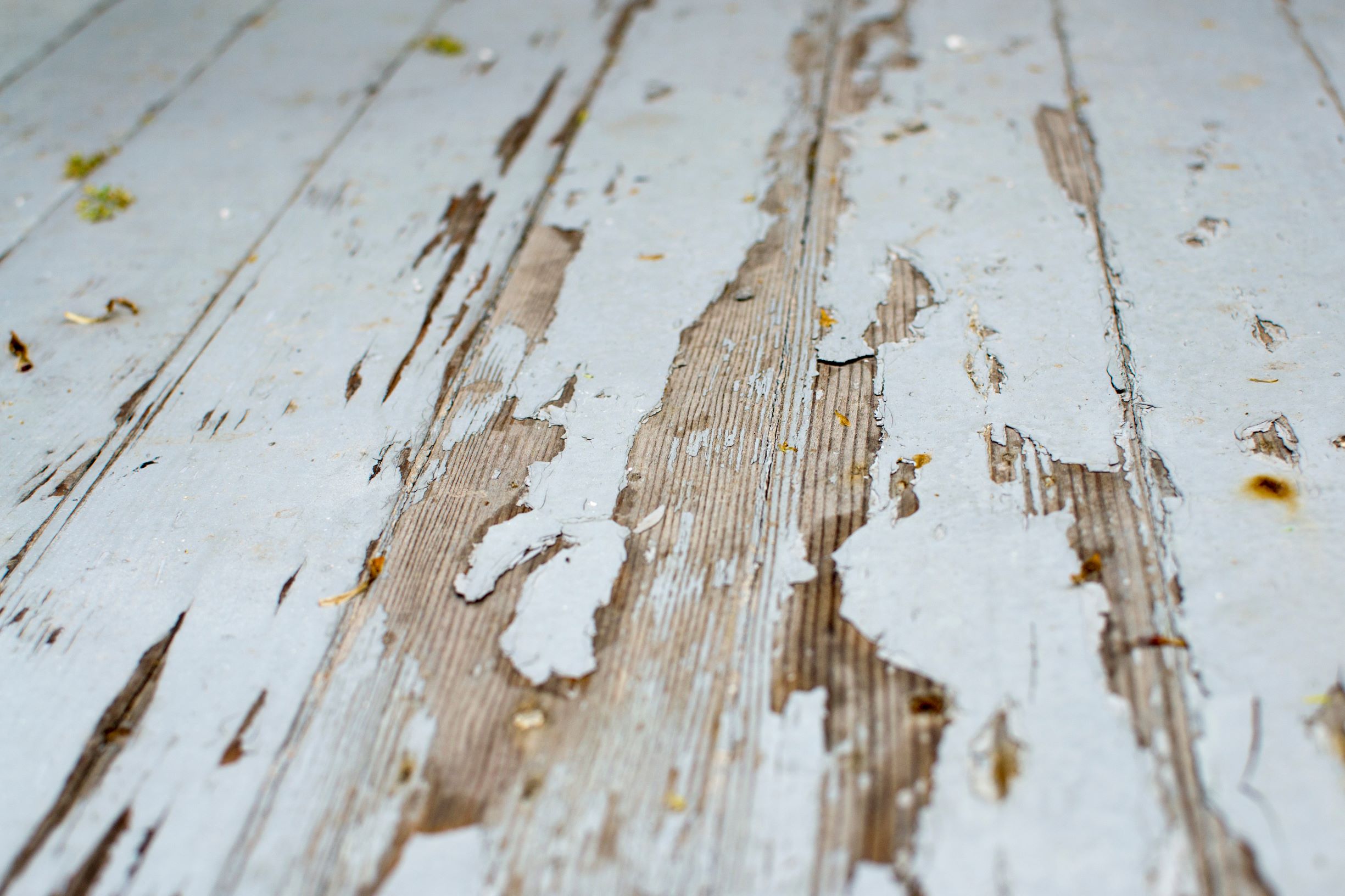 splinters